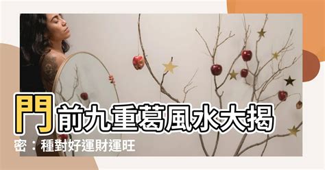 門前種九重葛風水|【門前種九重葛風水】門前九重葛風水大揭密：種對好運財運旺，。